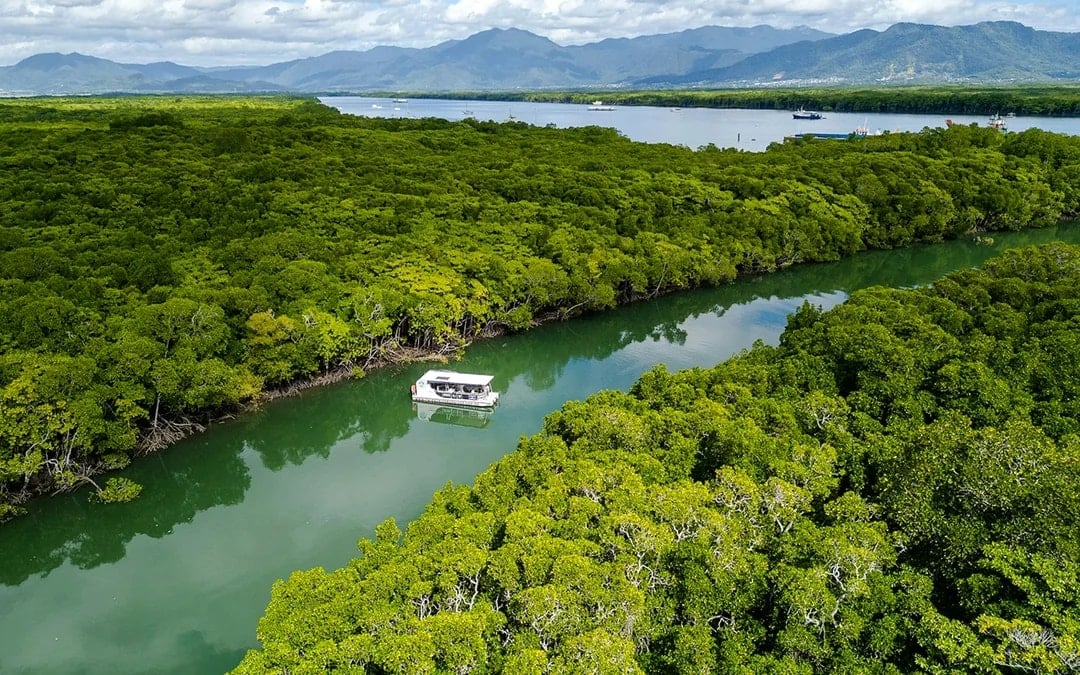 Cairns Trinity Inlet Sightseeing Cruise Image 1