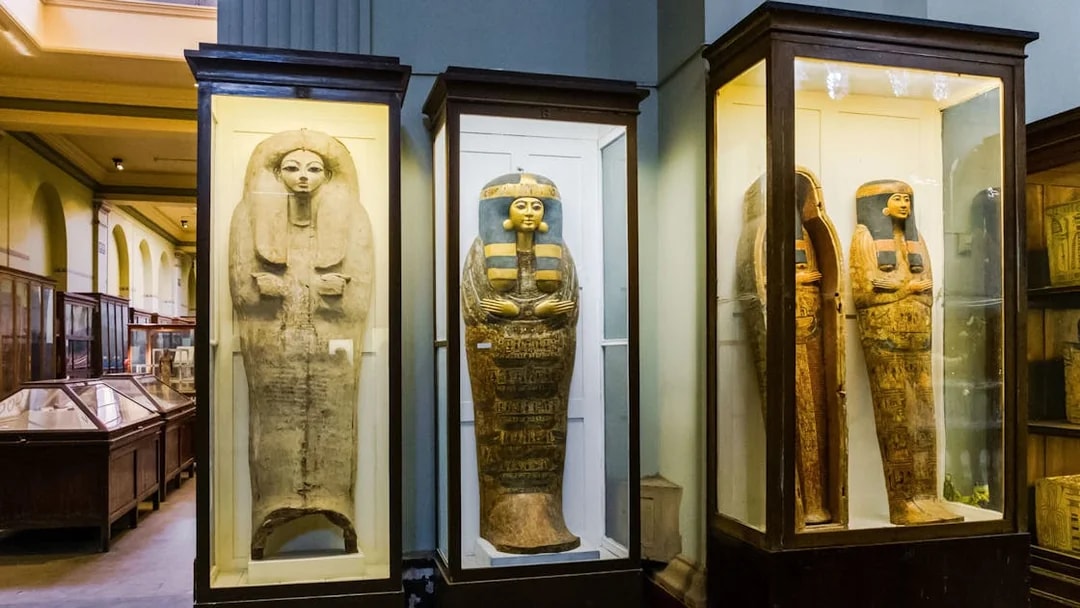 Ancient Egyptian sarcophagi displayed in a museum exhibit.