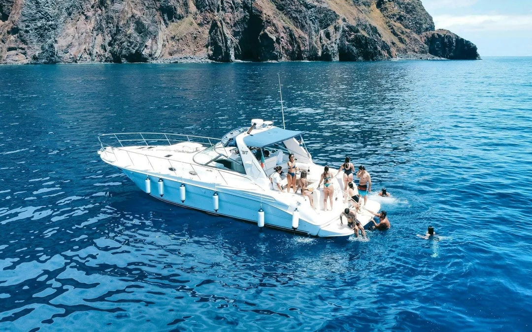 Calheta Shared Yacht Dolphin & Whale Watching Image 6