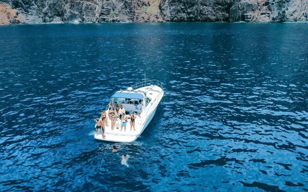 Calheta Shared Yacht Dolphin & Whale Watching