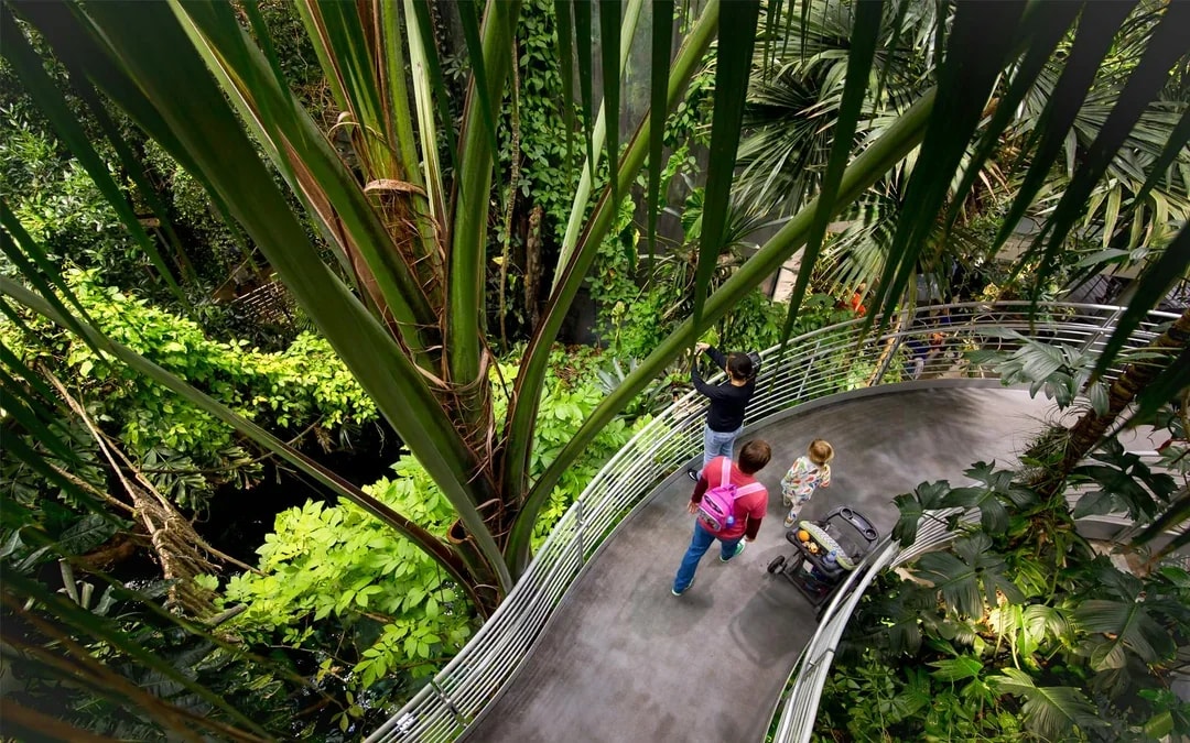 California Academy of Sciences Tickets Image 6
