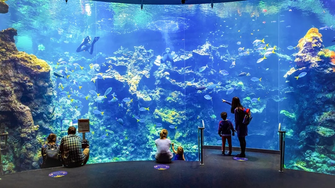 Visitors observing colorful coral reefs at California Academy of Sciences aquarium.