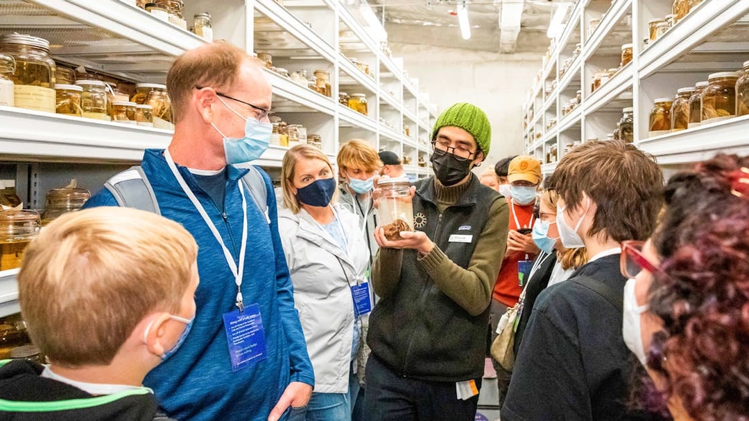 Visitors tour the specimen collection at California Academy of Sciences.