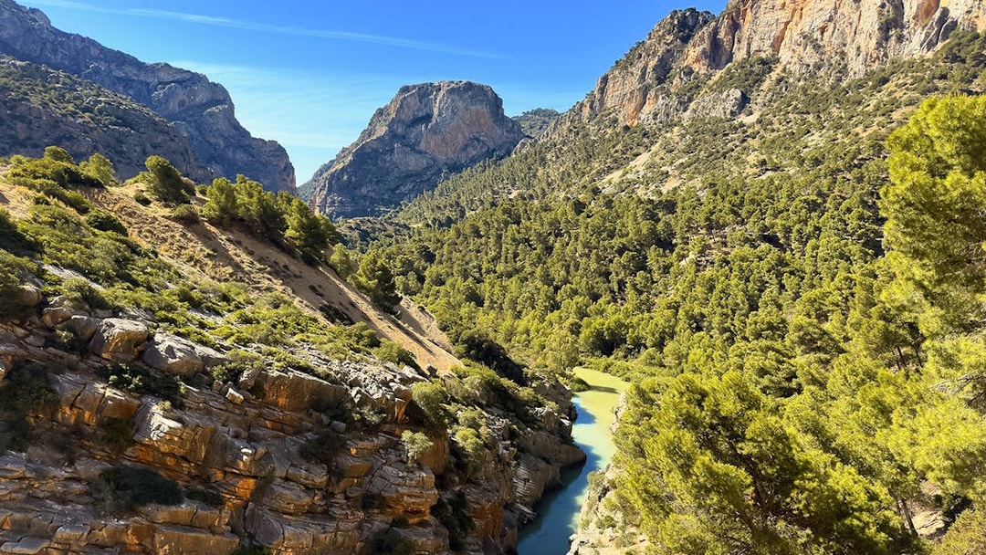 Caminito del Rey pathway through rocky gorge and lush forest in Málaga, Spain.