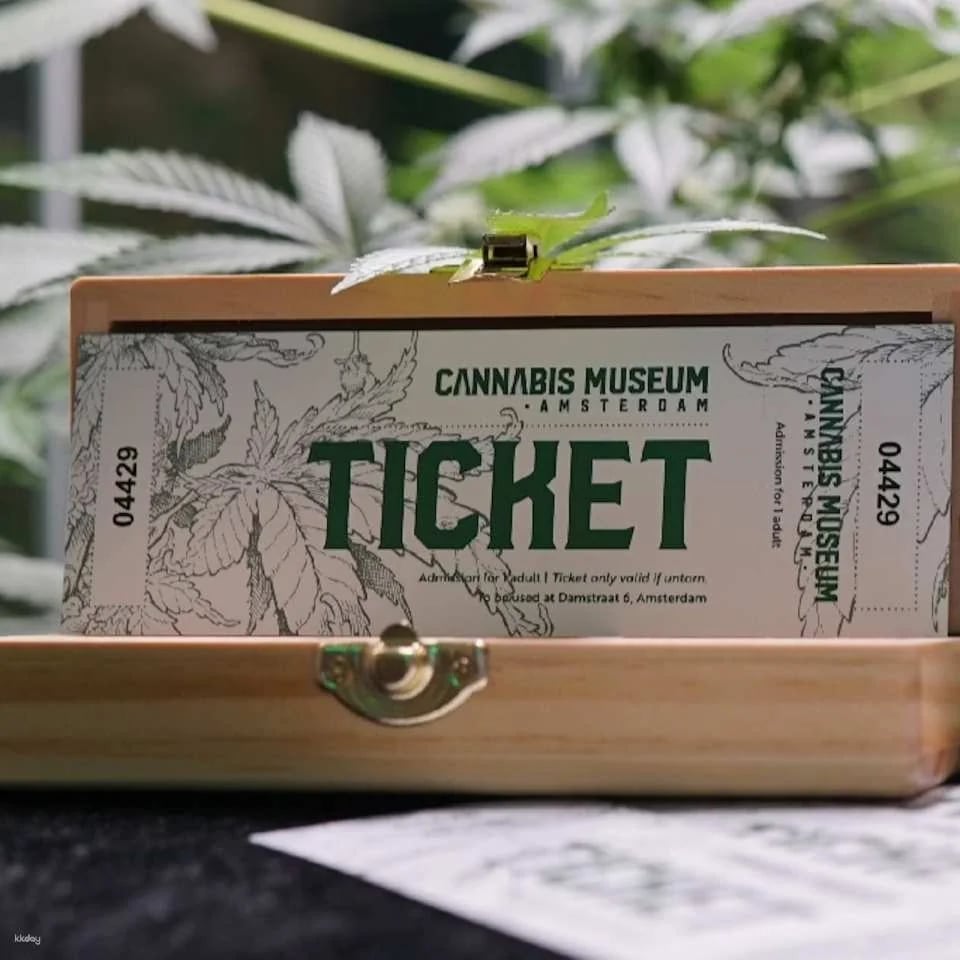 Cannabis Museum Amsterdam Ticket