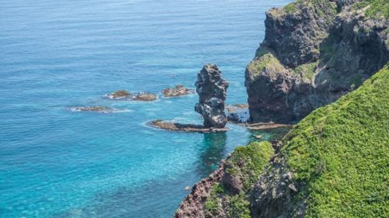 [Departure Guaranteed] Cape Kamui+Shimamui+Otaru Day Tour from Sapporo Day Tours