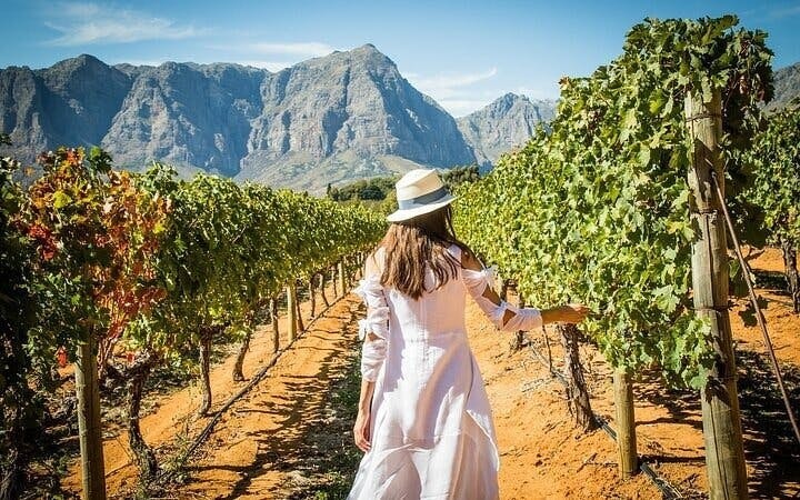 Cape Peninsula Private Helicopter Tour with Stellenbosch Wine Tastings and 4-Course Lunch Image 6