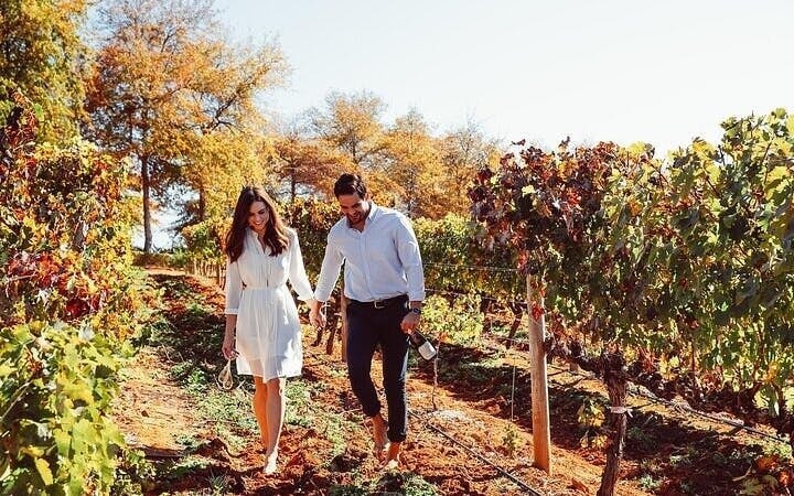 Cape Peninsula Private Helicopter Tour with Stellenbosch Wine Tastings and 4-Course Lunch Image 7