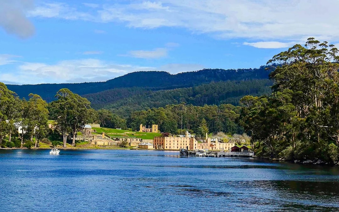 Cape Raoul Wilderness Cruise from Port Arthur Image 6