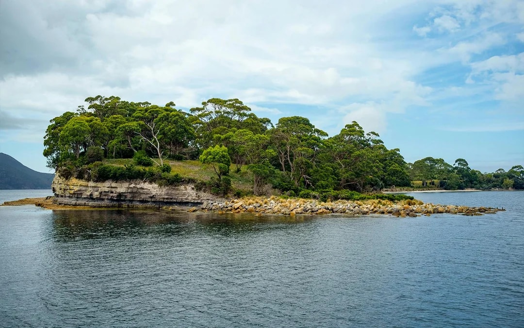Cape Raoul Wilderness Cruise from Port Arthur Image 7