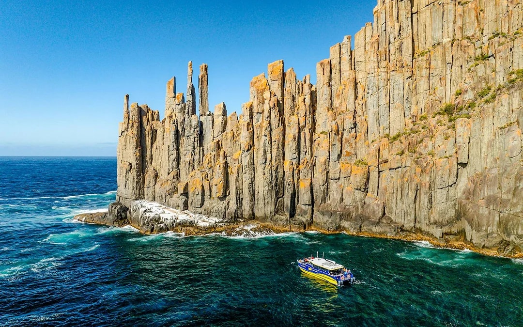 Cape Raoul Wilderness Cruise from Port Arthur Image 8