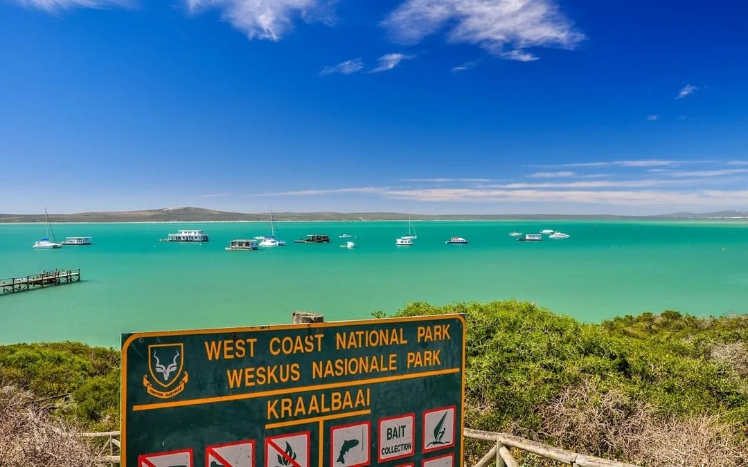 Cape Town Private Cape West Coast Tour with Guide and Hotel Pickup