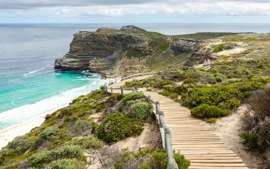 Cape Town: Private Full Day Tour with Table Mountain, Cape Point and City Highlights Image 7