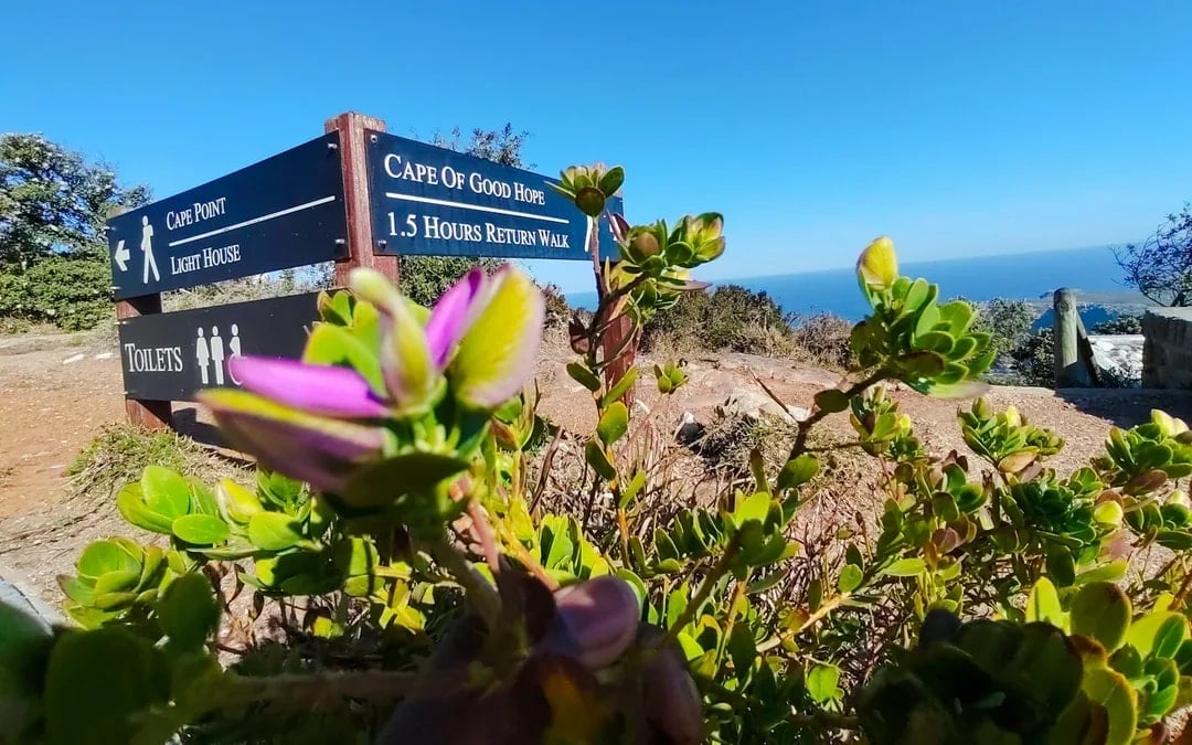 Cape Town Private Tour of Table Mountain, Cape of Good Hope and Boulders Beach Penguin Colony Image 1