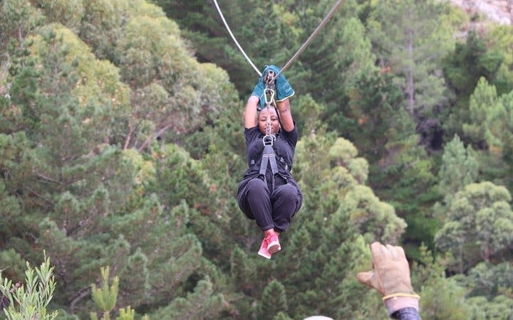 Cape Town Private Ziplining Tour in Constantia Winelands with Scenic Drives and Penguin Viewing Image 2