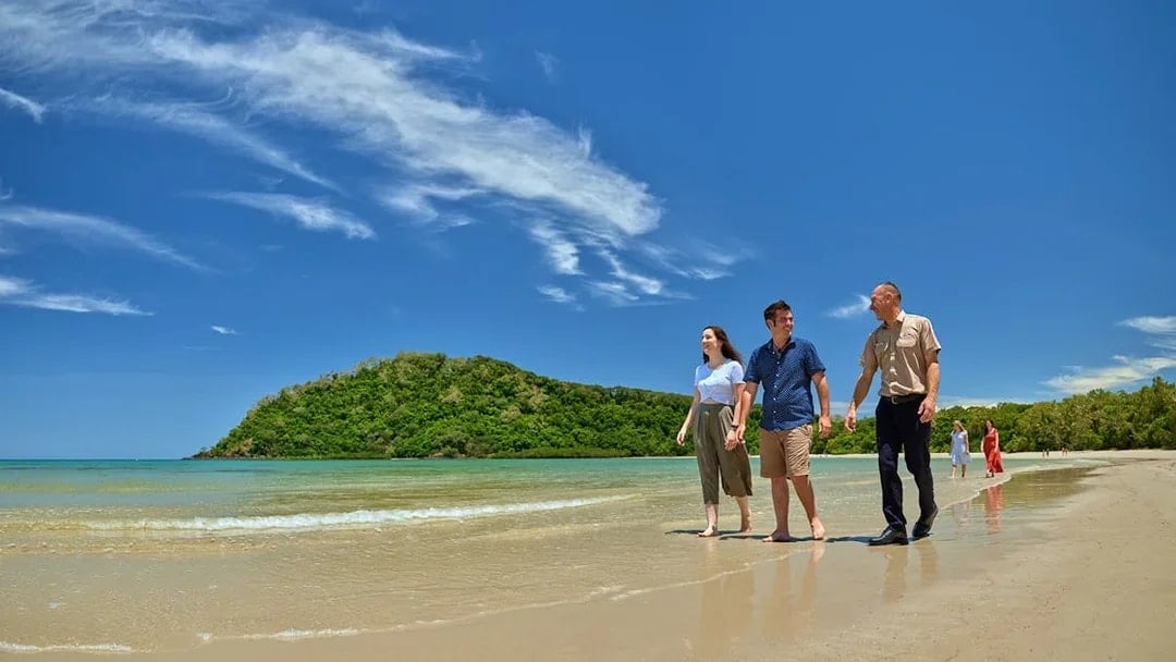 Guided Tour of Cape Tribulation, Daintree & Mossman Gorge with Hotel Transfers + Lunch