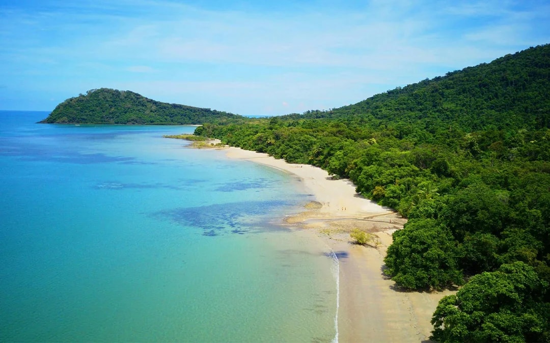 From Cairns/ Port Douglas: Full Day Tour of Daintree, Mossman Gorge & Cape Tribulation with Lunch & River Cruise Image 9