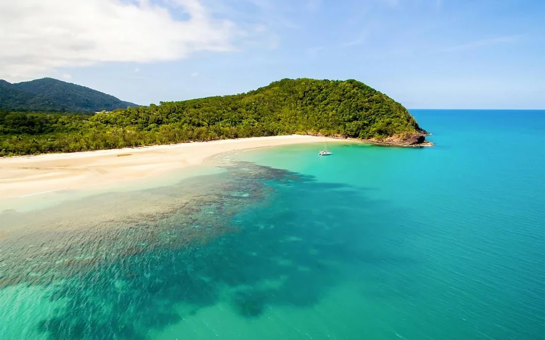 From Cairns/ Port Douglas: Full Day Tour of Daintree, Mossman Gorge & Cape Tribulation with Lunch & River Cruise Image 1