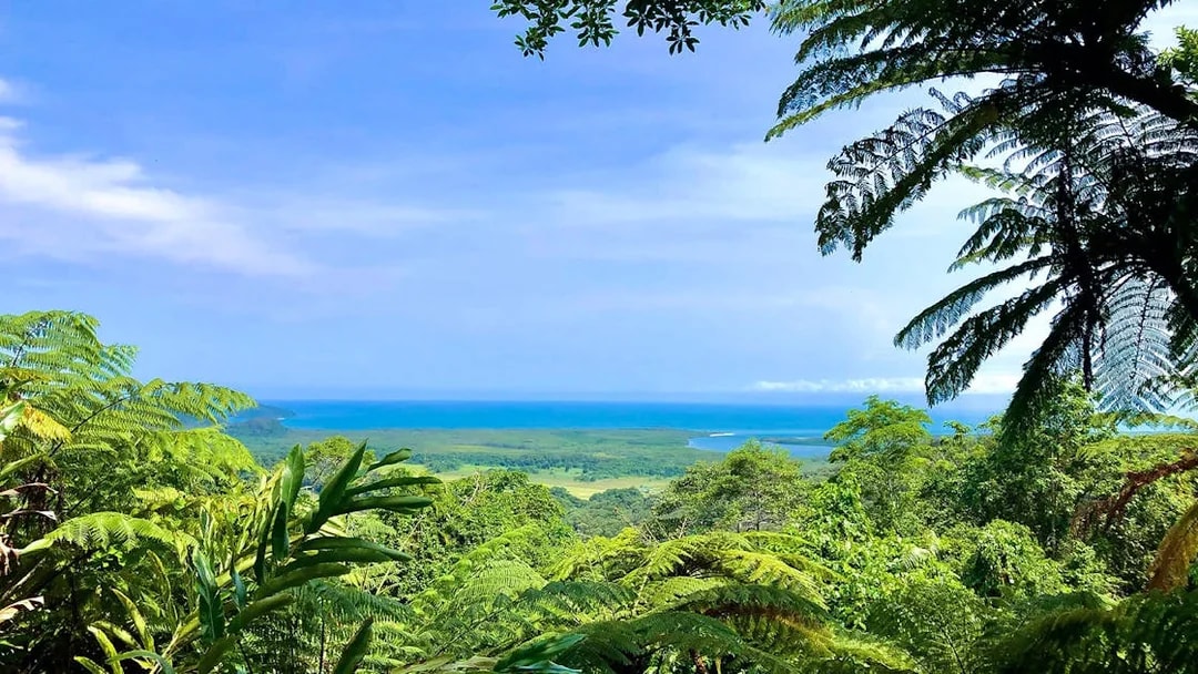 Cape Tribulation rainforest view with ocean in the distance, part of a day tour.