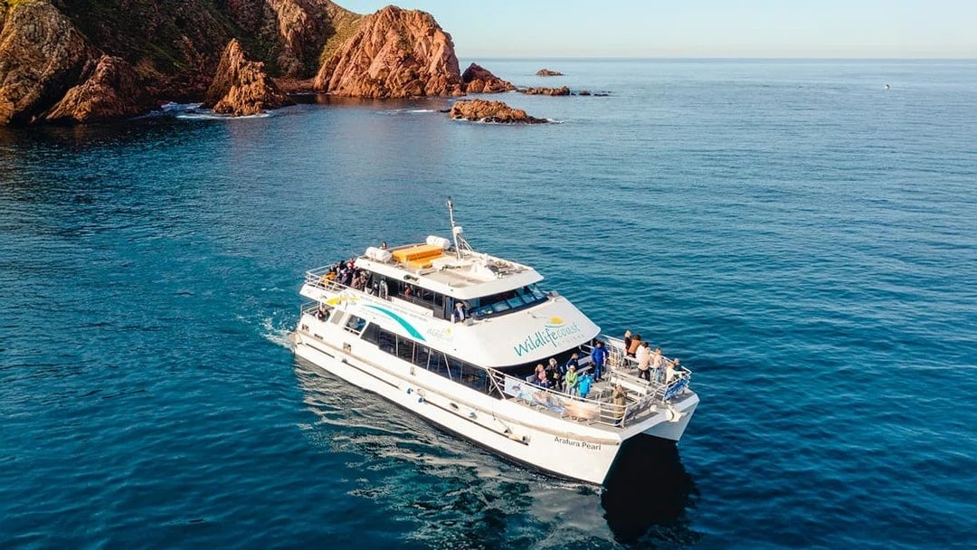 Cruise boat near Cape Woolamai, Phillip Island, with passengers enjoying Wildlife Coast Cruises.