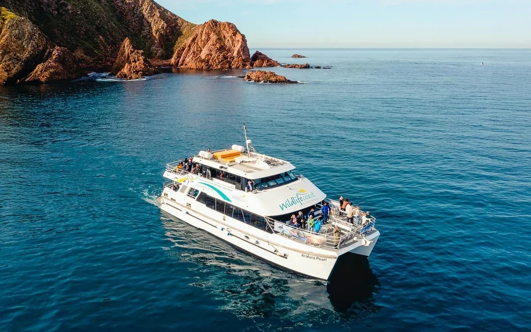 Cape Woolamai Morning Cruise at Phillip Island Image 1