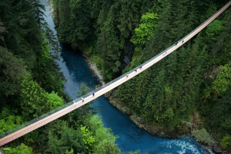 Capilano Suspension Bridge Park tickets