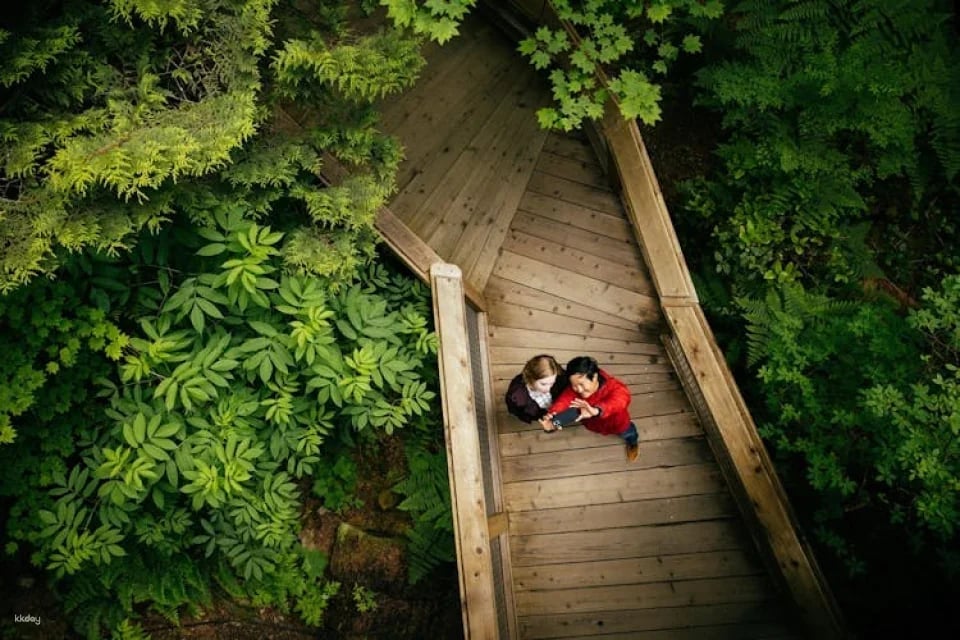 Capilano Suspension Bridge Park tickets