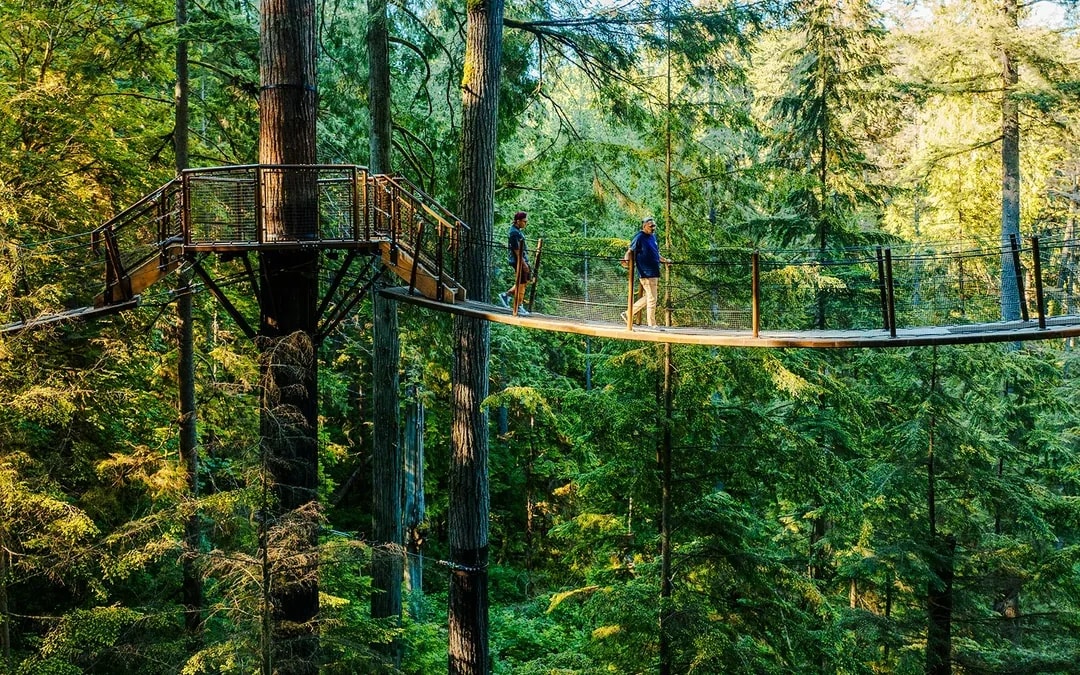 Capilano Suspension Bridge Park Tickets Image 7