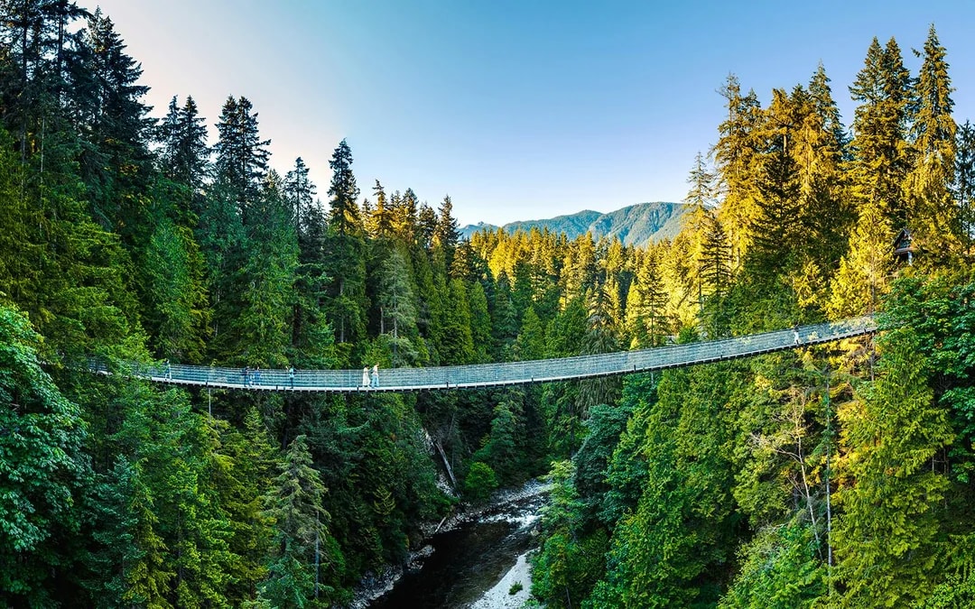Capilano Suspension Bridge Park Tickets Image 9