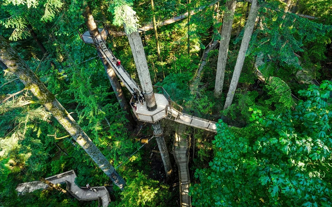Capilano Suspension Bridge Park Tickets Image 10