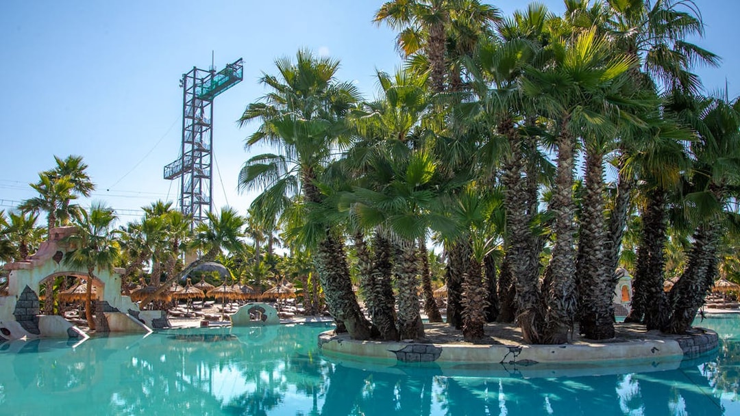 Caribe Bay water park with palm trees and pool, featuring a tall diving platform.