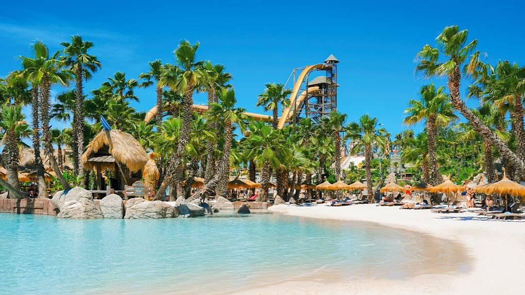 Caribe Bay beach with palm trees, water slides, and sunbathers on loungers.