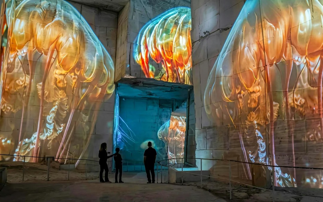 Carrières des Lumières Immersive Experience Tickets Image 5