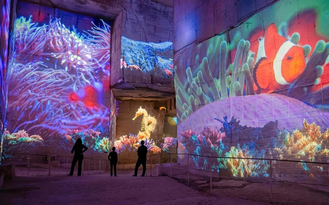 Carrières des Lumières Immersive Experience Tickets Image 6