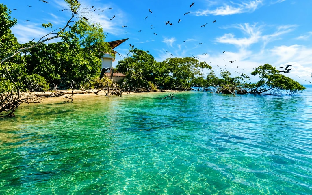 Cartagena: Excursión Islas del Rosario y Playa Blanca con Snorkel o Acuario Image 5