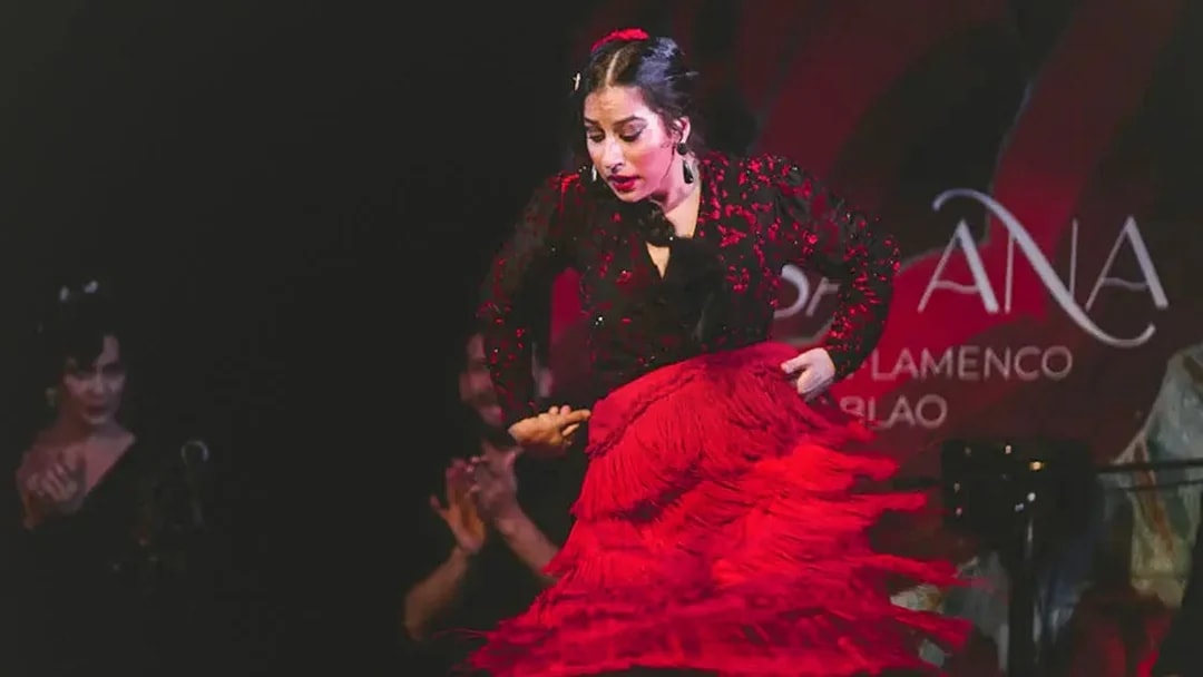 Flamenco dancer performing at Casa Ana Flamenco Show.