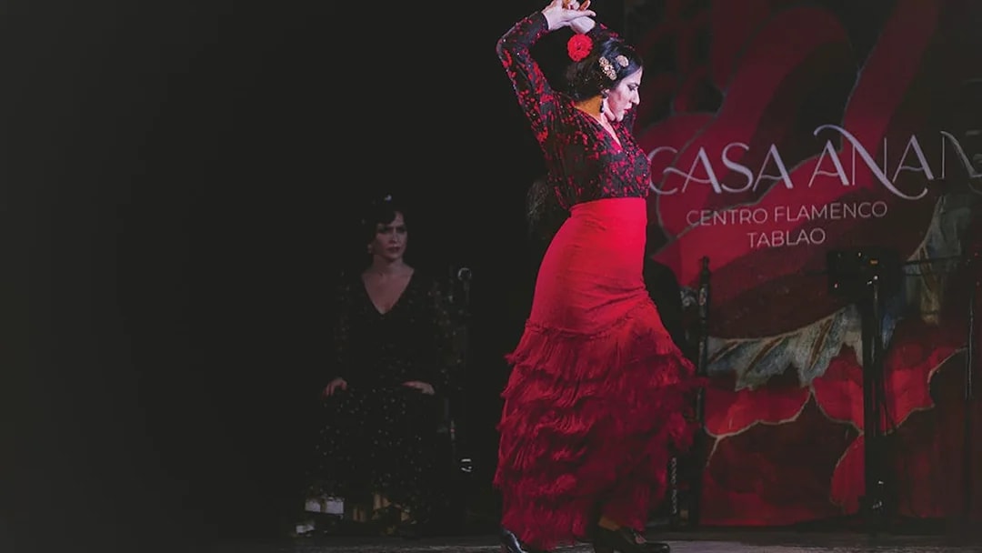Flamenco dancer performing at Casa Ana Flamenco Show.