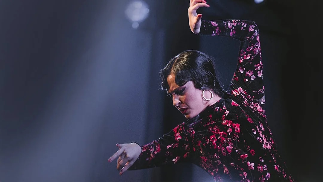 Flamenco dancer performing at Casa AnaFlamenco Show.