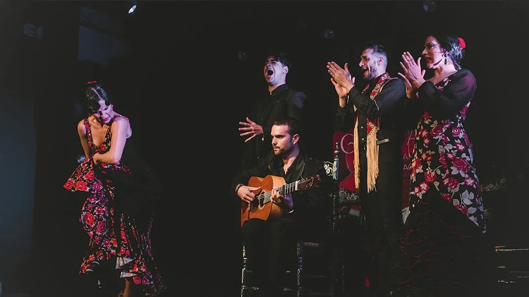 Flamenco performers on stage at Casa AnaFlamenco Show, featuring a guitarist and dancers.