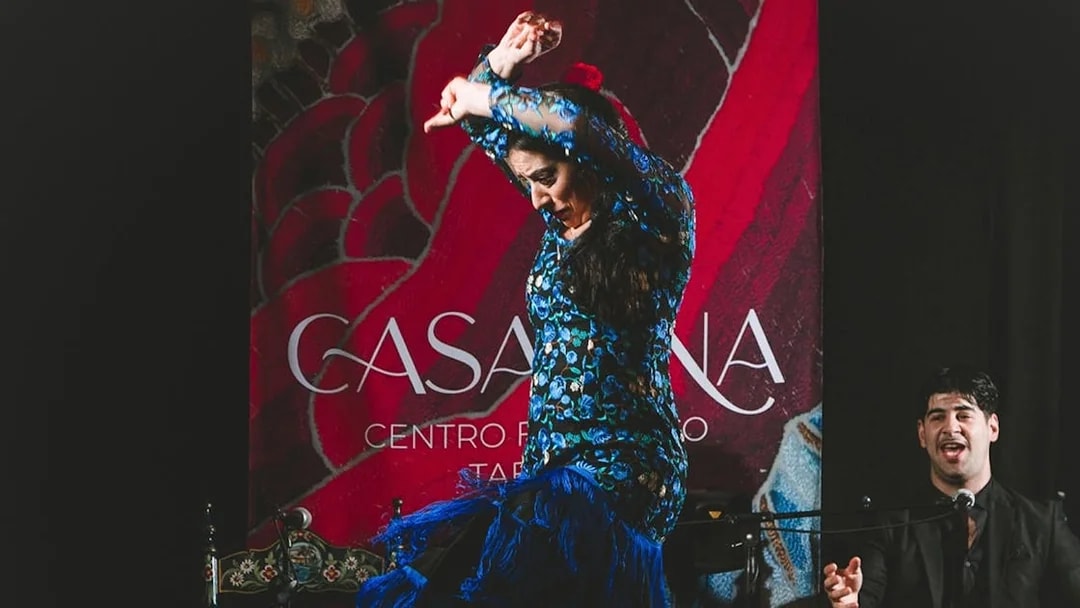 Flamenco dancer performing at Casa Ana Flamenco Show with a singer in the background.