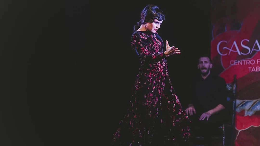 Flamenco dancer performing at Casa AnaFlamenco Show.