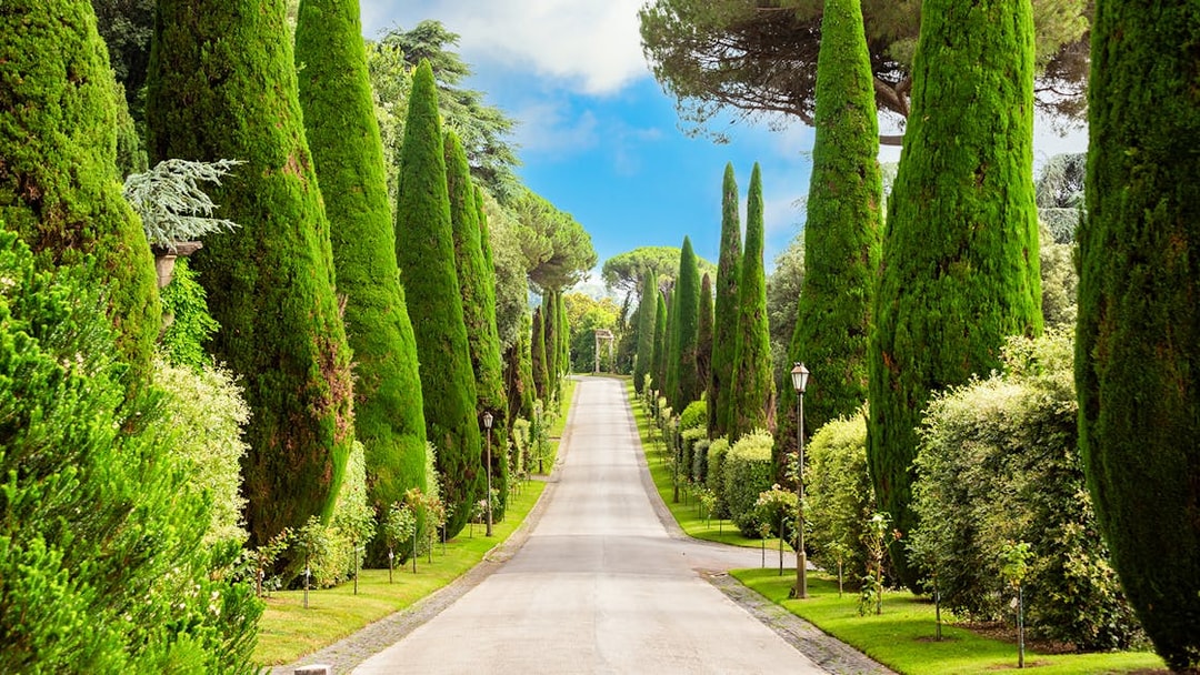 Tree-lined path in Pontifical Villa Gardens, Castel Gandolfo, Italy.