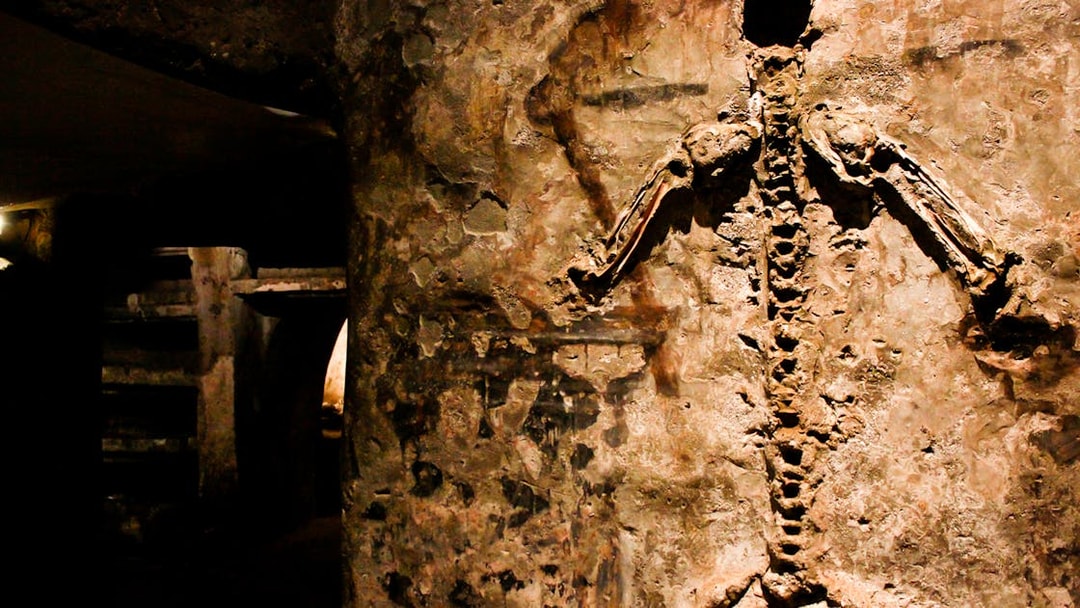 Visitors viewing skeletal remains in the Catacombs of San Gaudioso, Naples, Italy.