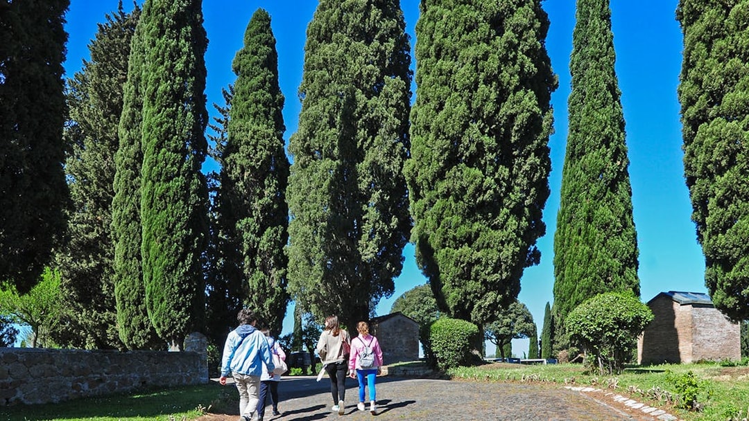 Pathway lined with tall cypress trees leading to the Catacombs of St Callixtus.