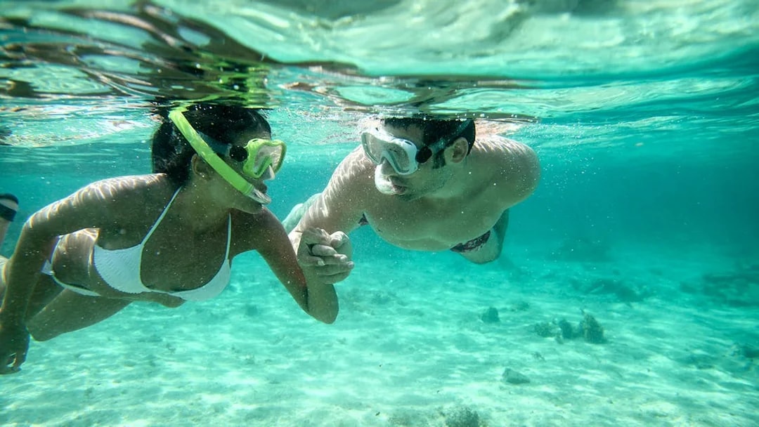 Snorkelers exploring clear waters in Isole Ciclopi, Catania.