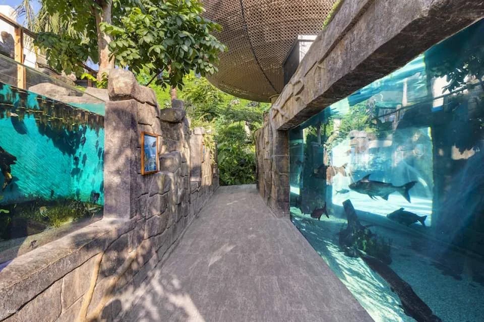 Cebu Ocean Park Admission Ticket | Philippines