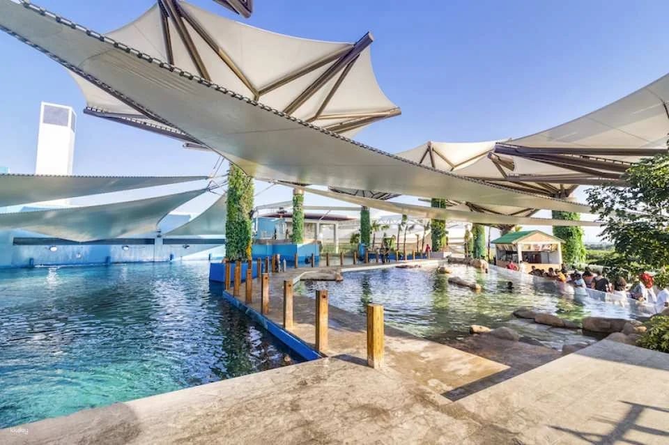 Cebu Ocean Park Admission Ticket | Philippines