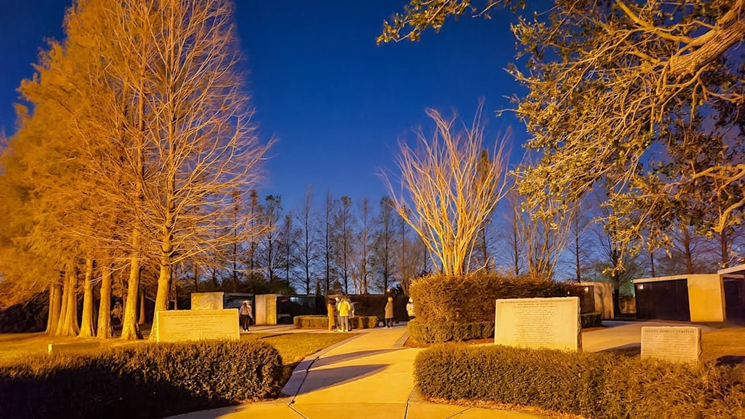 Nighttime view of a New Orleans cemetery with illuminated trees and visitors exploring pathways.