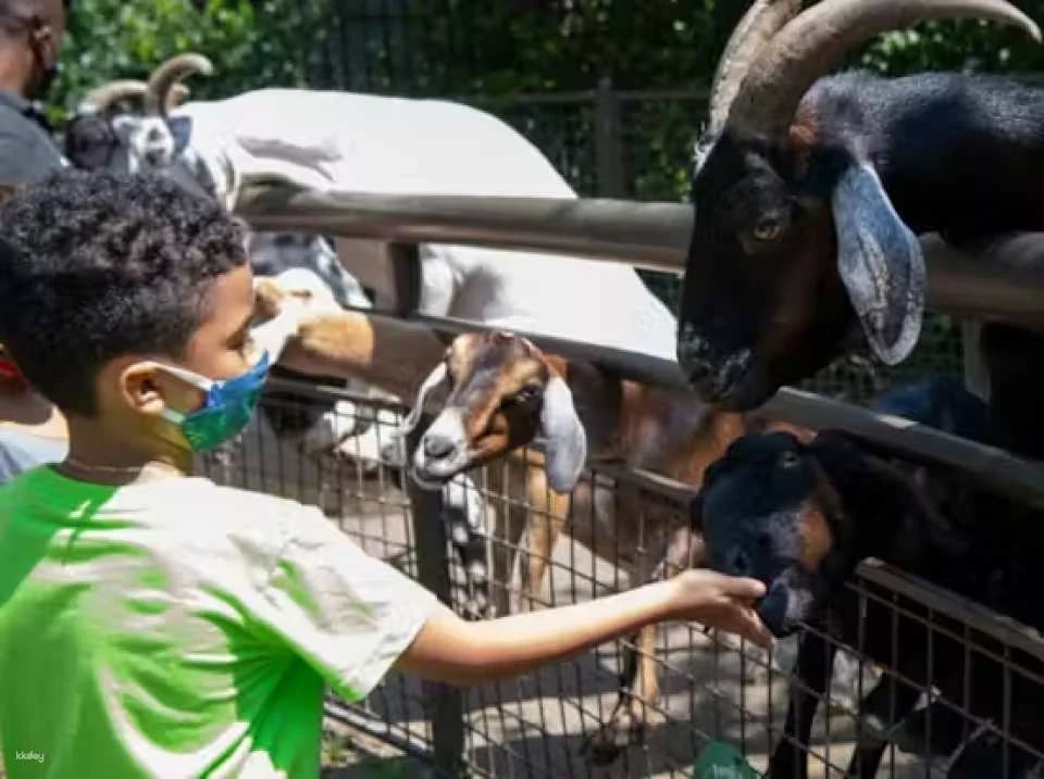 Central Park Zoo Ticket | New York