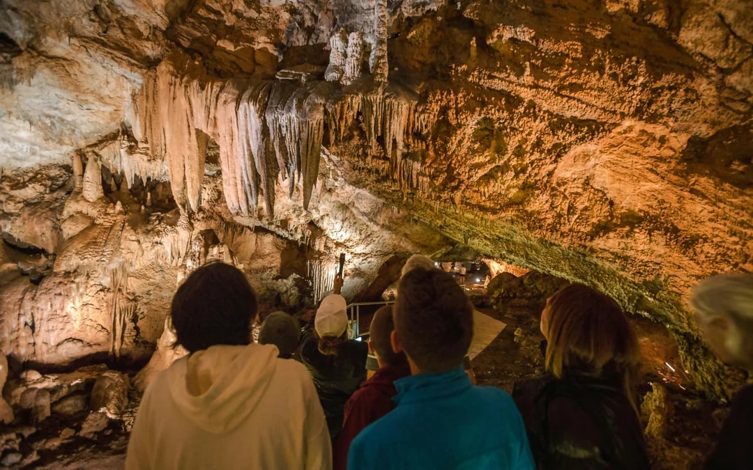 Cetinje: Lipa Cave Entrance Ticket with Guided Tour Image 6